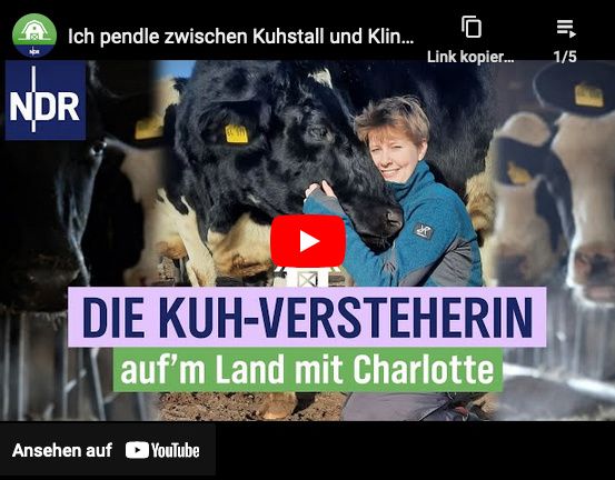 Bauernhoferlebnisse, Kälber füttern, Bauernhof, Kühe, Jungtiere, Erlebnishof, Zuckerrüben, Stallzeit, Kälber versorgen, Vogelfutter herstellen, Kühe melken, Landwirtschaft, Landwirtschaftsbetrieb, Hofladen, Mais, Getreide, Weizen, landwirtschaftlicher Betrieb, frischer Spargel, Gemüse, Bauernhof in Lübeck, Ausflug in Lübeck, Vorwiesenhof in Lübeck, Familienbetrieb, Ackerbau, Direktvermarktung, Rinderhaltung, Green Care